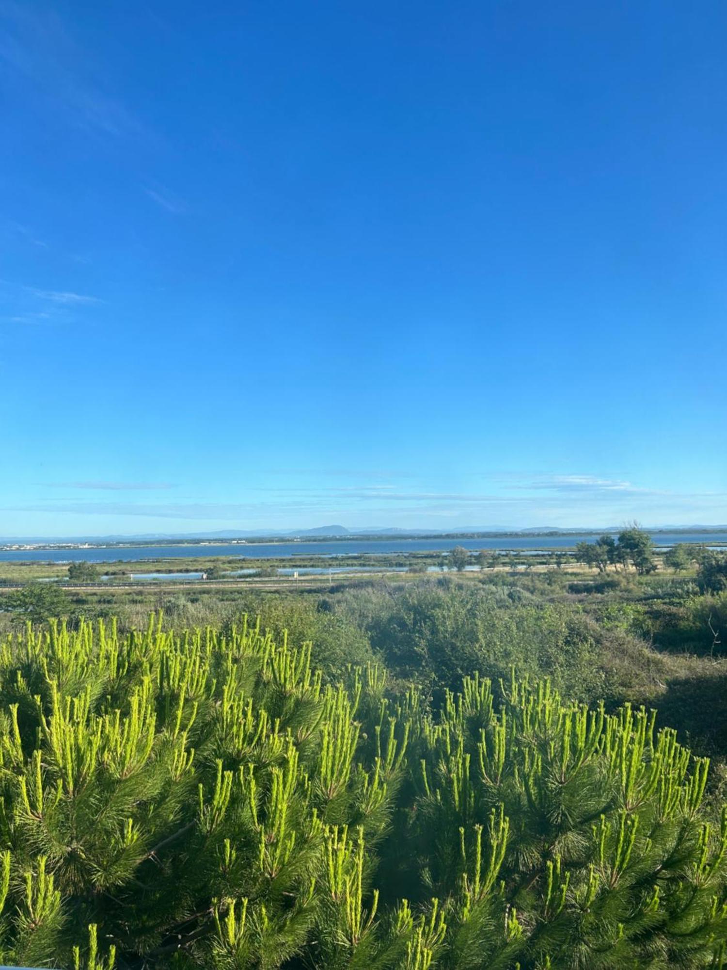 Appartement Traversant Vue Mer Et Etang 모기오 외부 사진